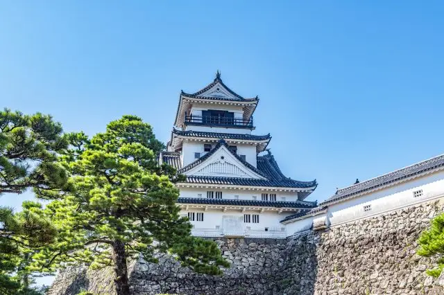 Kochi Castle