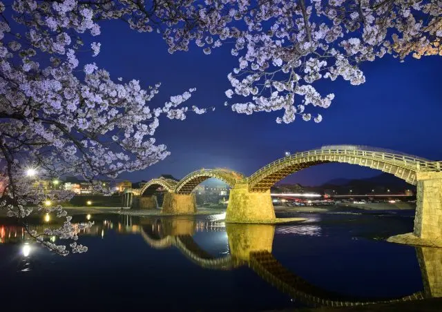 夜桜