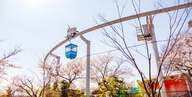 アトラクションと桜