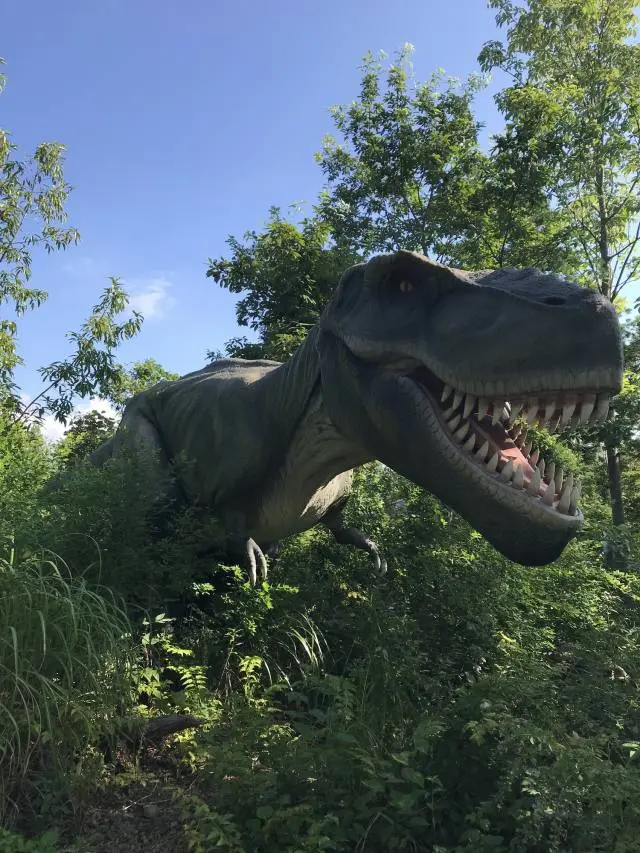 食肉恐龍 Tyrannosaurus（暴龍）