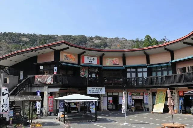 霧島溫泉鄉、霧島溫泉市場