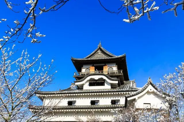 爱知县国宝犬山城