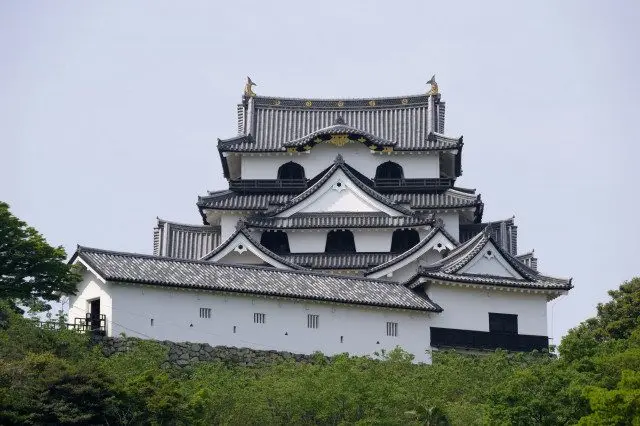 滋贺县 国宝彦根城