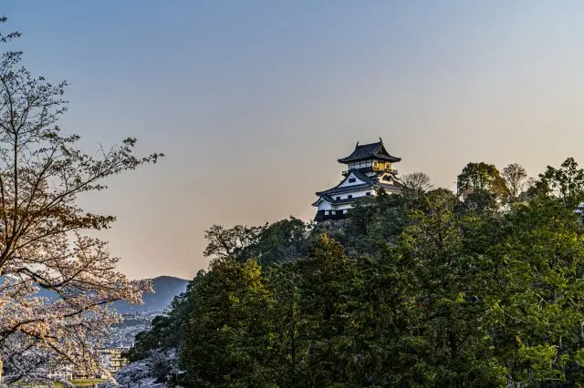 建於斷崖之上的木造天守，是12座現存天守中最古老的天守建築