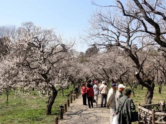 在園內悠哉散步
