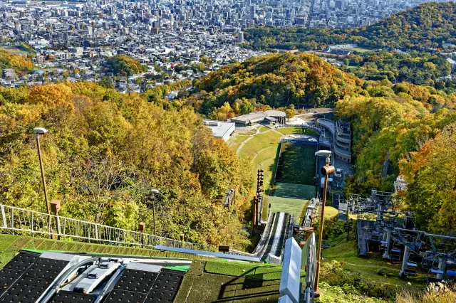 A view from the observatory during peak autumn foliage season