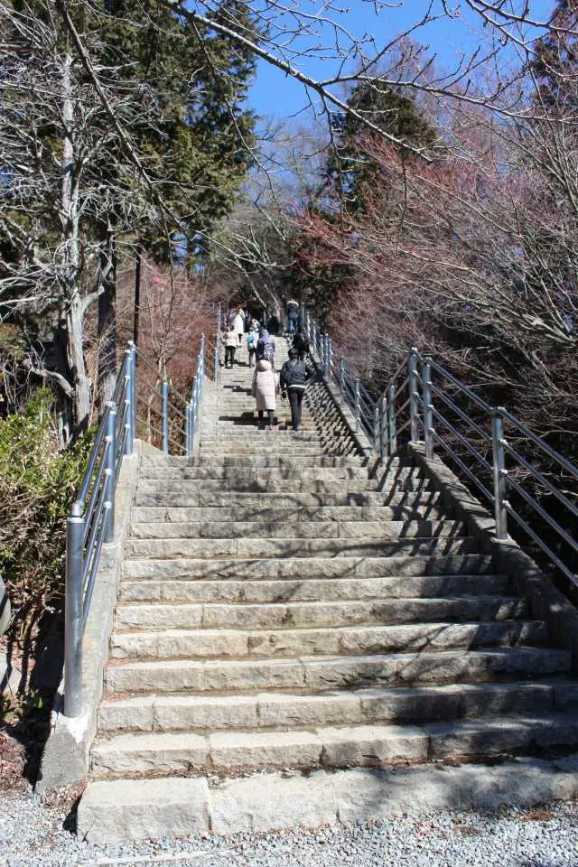 398階的台階路：咲くや姫（さくやひめ、sakuyahime）