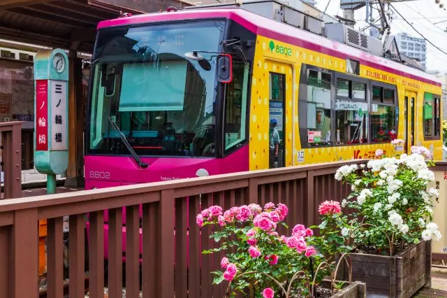 享受從車窗看過去的風景！搭乘路面電車玩樂東京