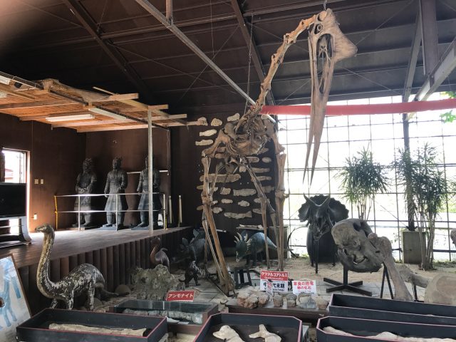 設施內的化石資料館