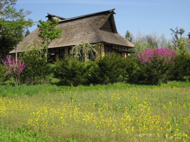 The watermill with thatched roof standing amid verdant fields