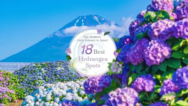 18 Best Hydrangea Spots That Brighten Early Summer in Japan