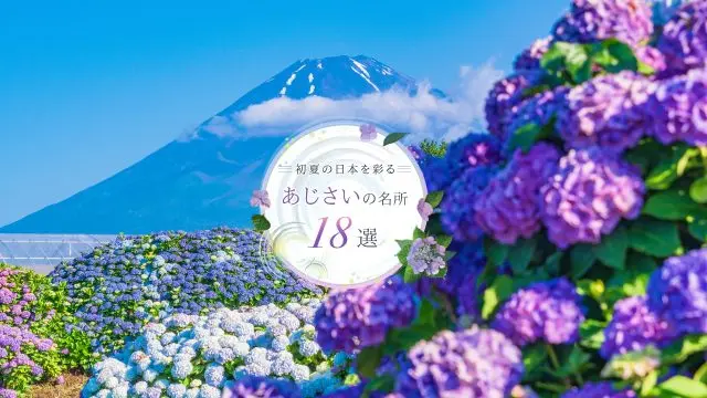 初夏の日本を彩るあじさいの名所18選