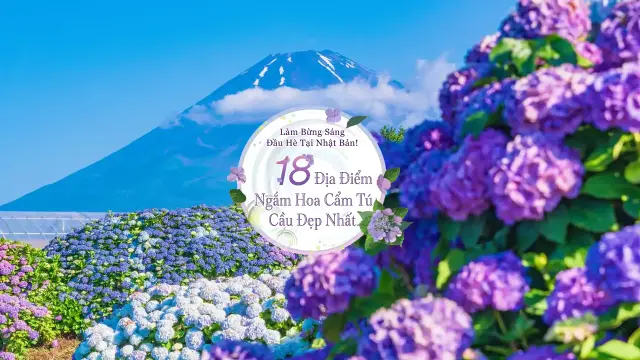 18 điểm ngắm hoa cẩm tú cầu nổi bật tô điểm cho Nhật Bản vào đầu hè