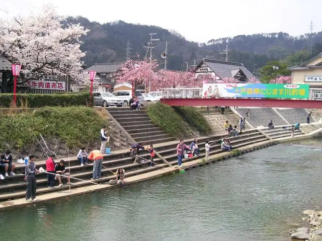 在自然河川上能釣到虹鱒