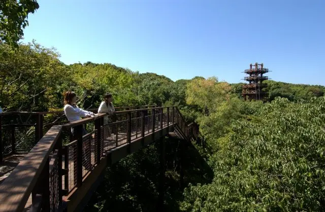 Sorado (Aerial promenade)