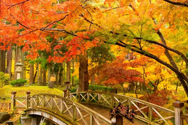 Red Foliage bridge