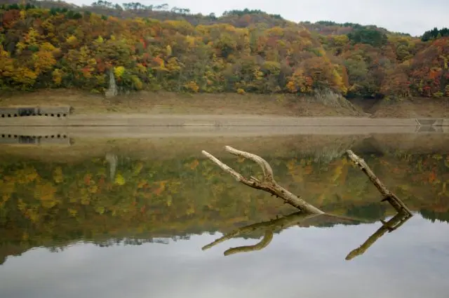 倒影在湖面的紅葉
