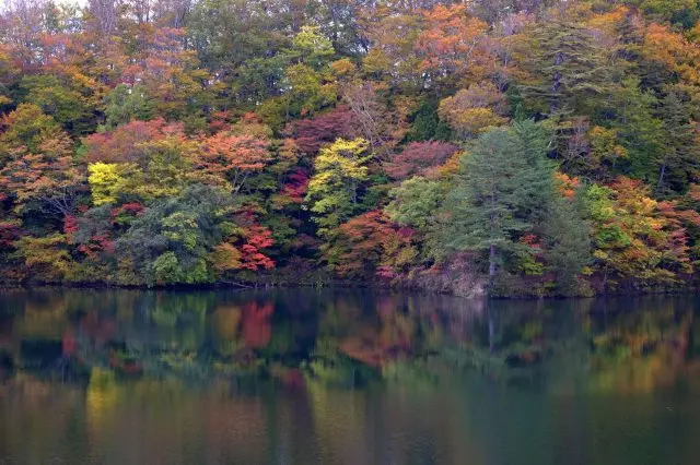 宛如人间仙境般的鸡头场之池！