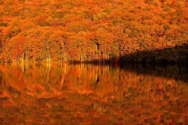 A vista of Mt. Hakkoda painted in vibrant red