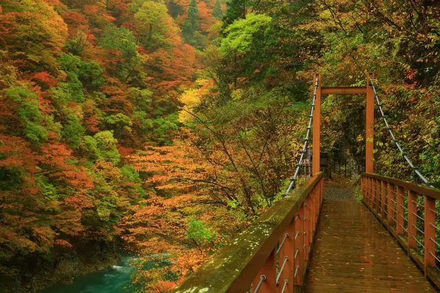 The vividly colored valley, giving off iconic Japan vibes.