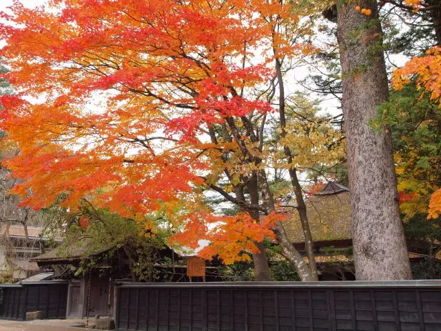 Odano House and fall foliage