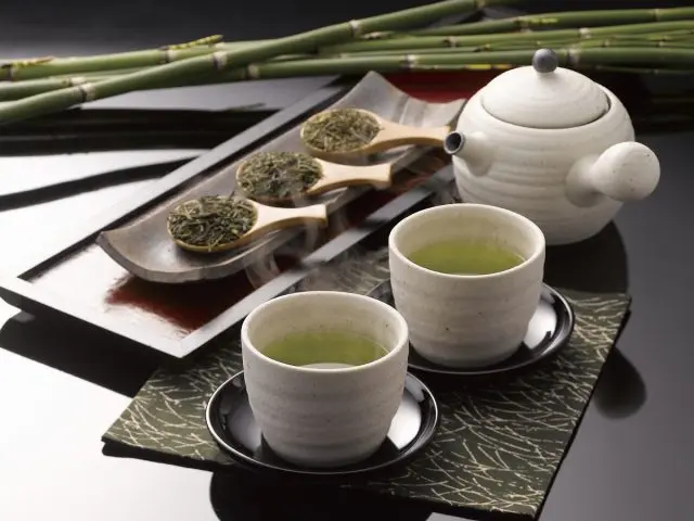 A Thorough Explanation of Japanese Tea!