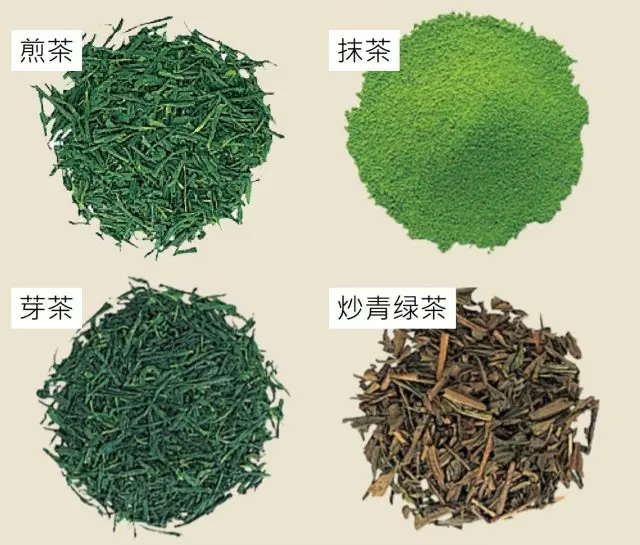 同樣是綠茶，因加工方法不同而延伸出各種茶葉