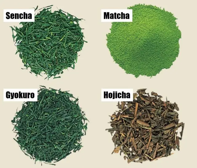 The same green tea has different names based on how it is made