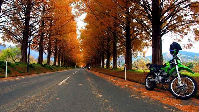 An avenue that entices you into pulling up and enjoying a stroll