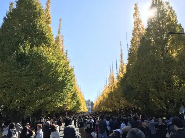 人潮湧動的並木通