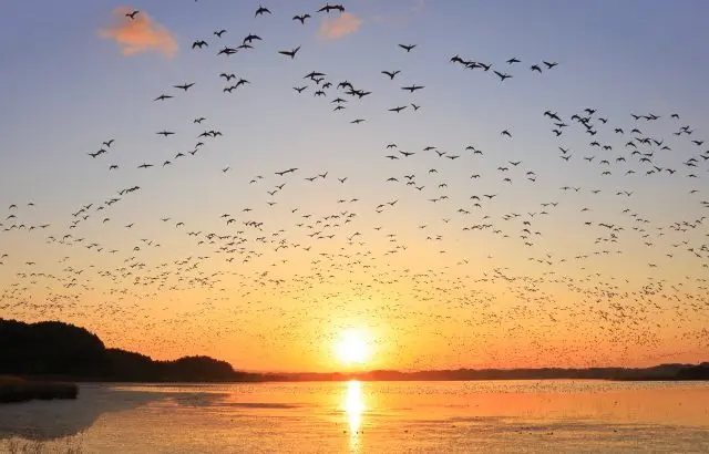 宮城縣冬季親子遊推薦景點七選！