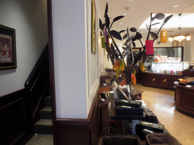 The 1st floor is a retail storefront.