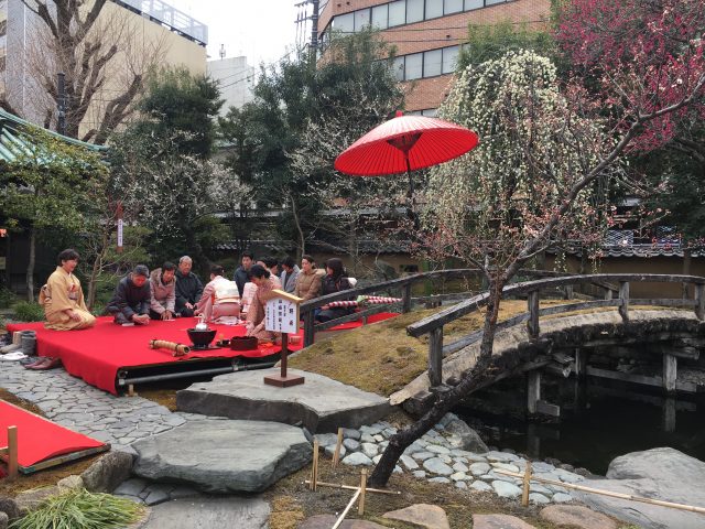 告知春天即將來臨的文京區梅花祭