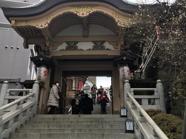 東京有名的賞梅勝地湯島天滿宮