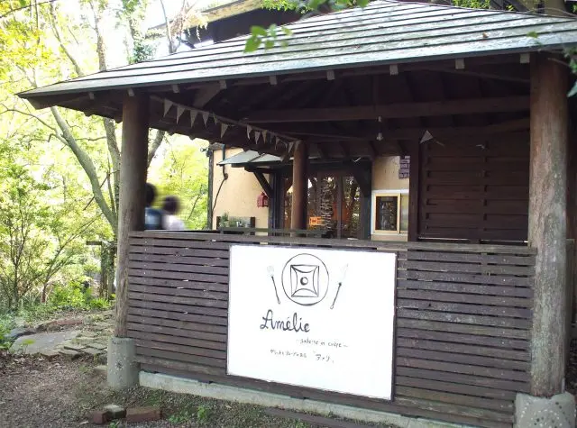 位於森林裡的店舖