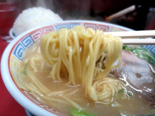 The noodles