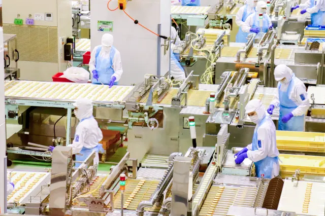 包装前の「白い恋人」が流れていく様子は圧巻！