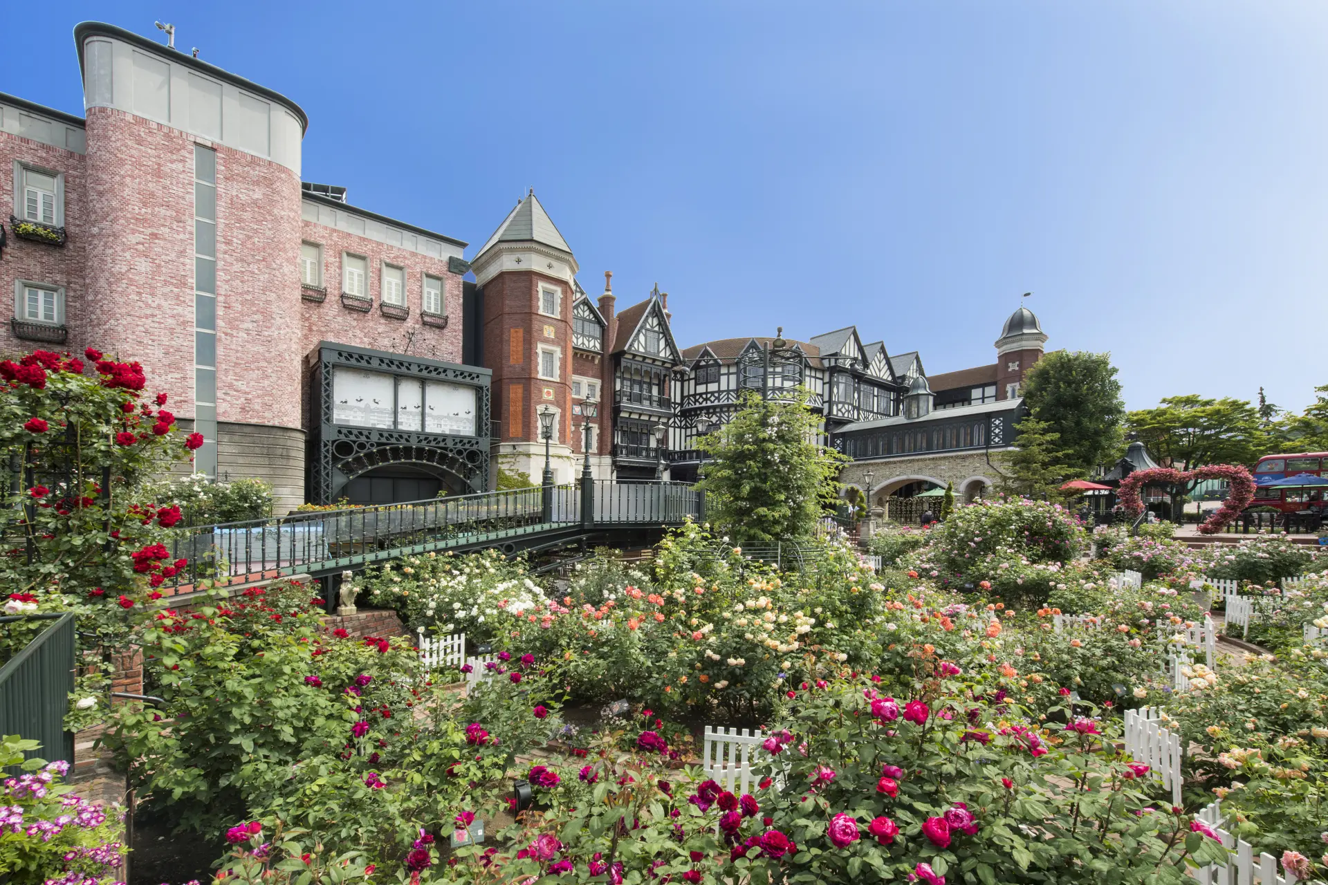 薔薇が咲き誇る夏のガーデンの様子