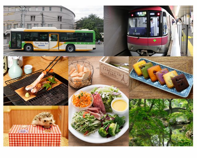 使用「都營一日乘車券」來趟夏季的東京觀光之旅！主題為絕佳的拍照景點！