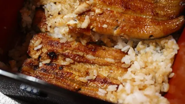 飯中間的鰻魚也很大塊