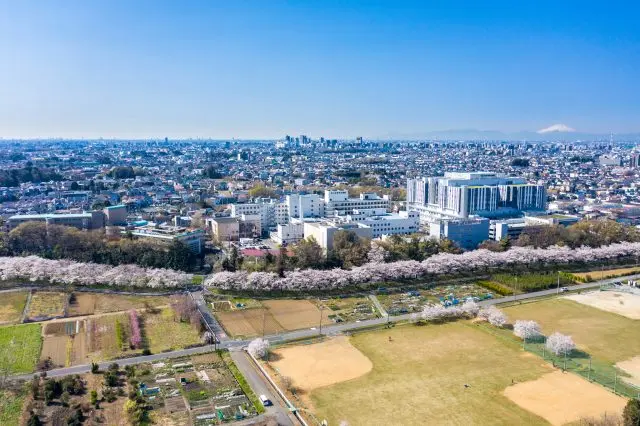 埼玉的街市風貌