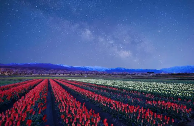 像仙境一樣的美景♡