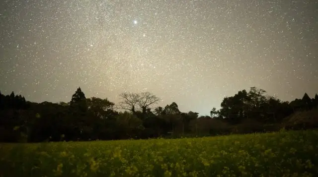 滿天星斗的美麗夜空
