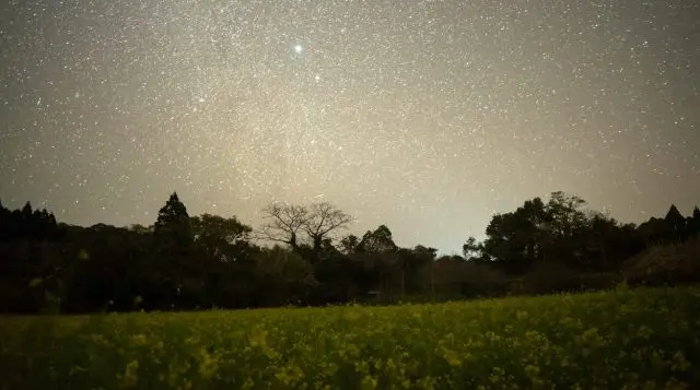 【種子島指南】充滿大自然的祕境種子島魅力大揭曉！