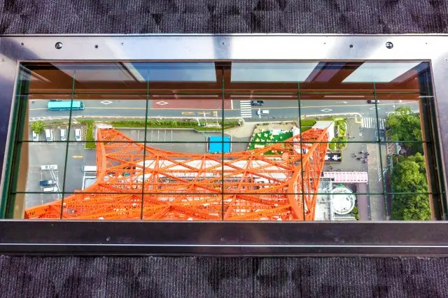 玻璃地板下的人和车都像是米粒一样的大小