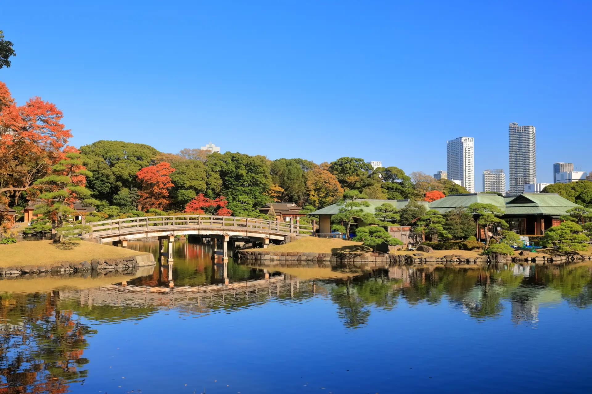 江戸幕府の歴代将軍たちが愛した日本庭園