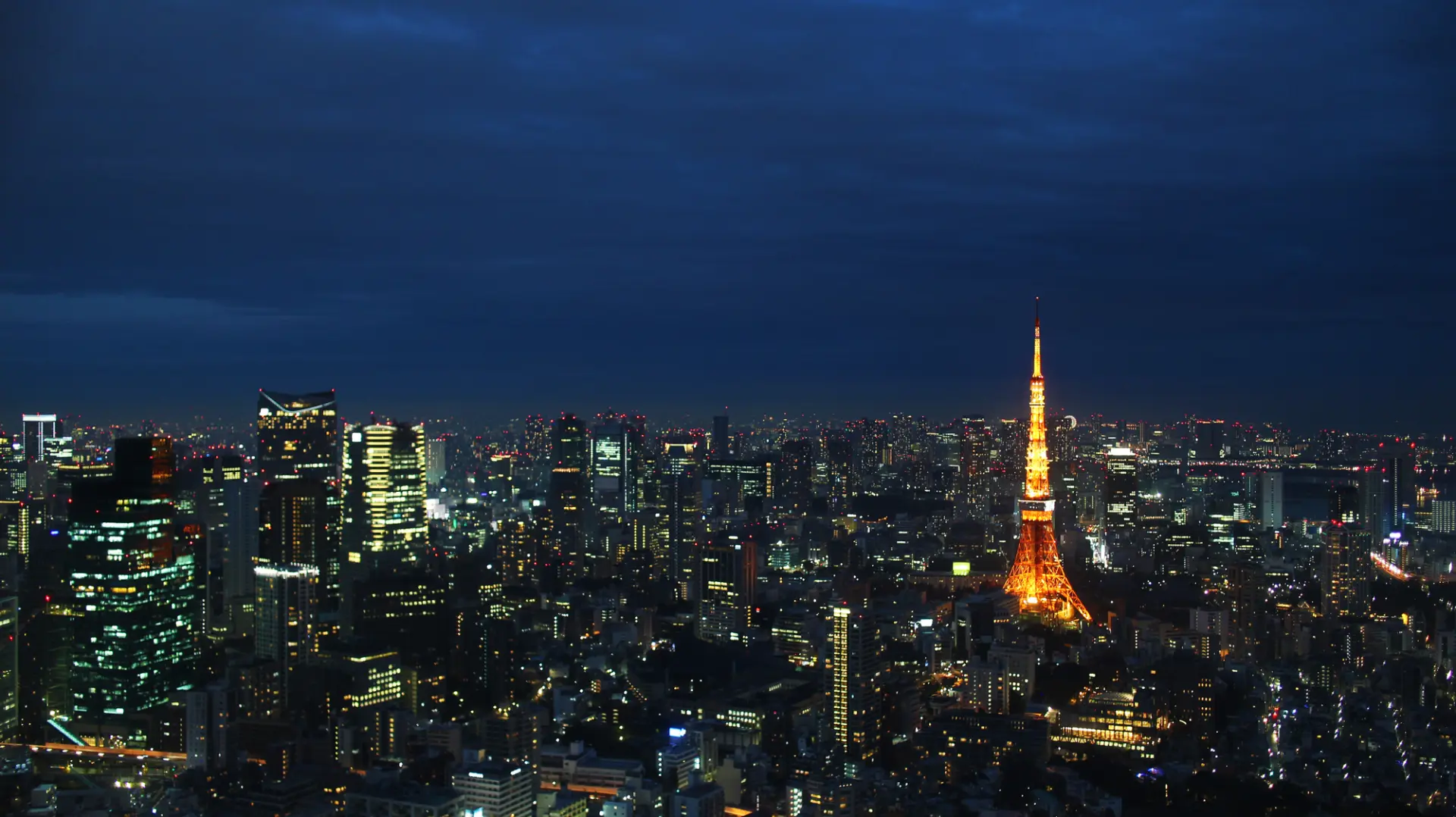 夜に輝く東京タワーを眺めながら大人の時間を過ごせるビストロノミー