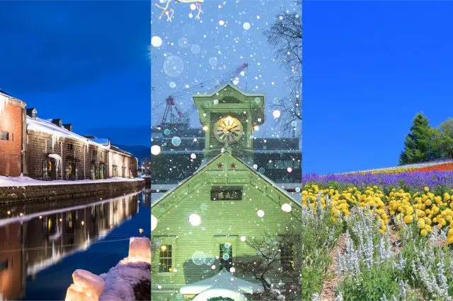 人気の観光地北海道