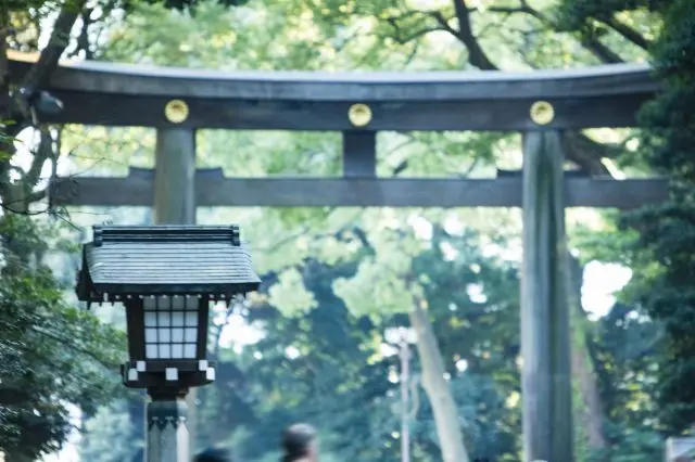 參拜之前做好功課！了解明治神宮的歷史和小知識！