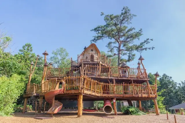 ツリーハウスで思い切り遊ぼう! 